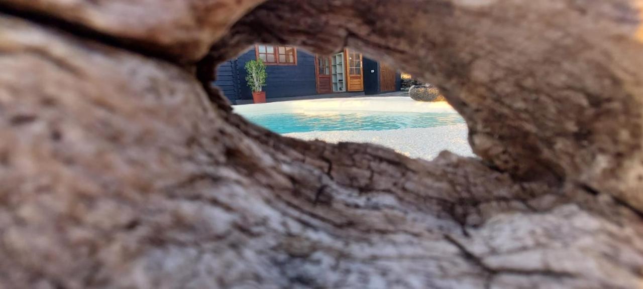 Villa Los Guirres Tazacorte Ngoại thất bức ảnh